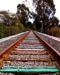 rodeo gulch, santa cruz rail line